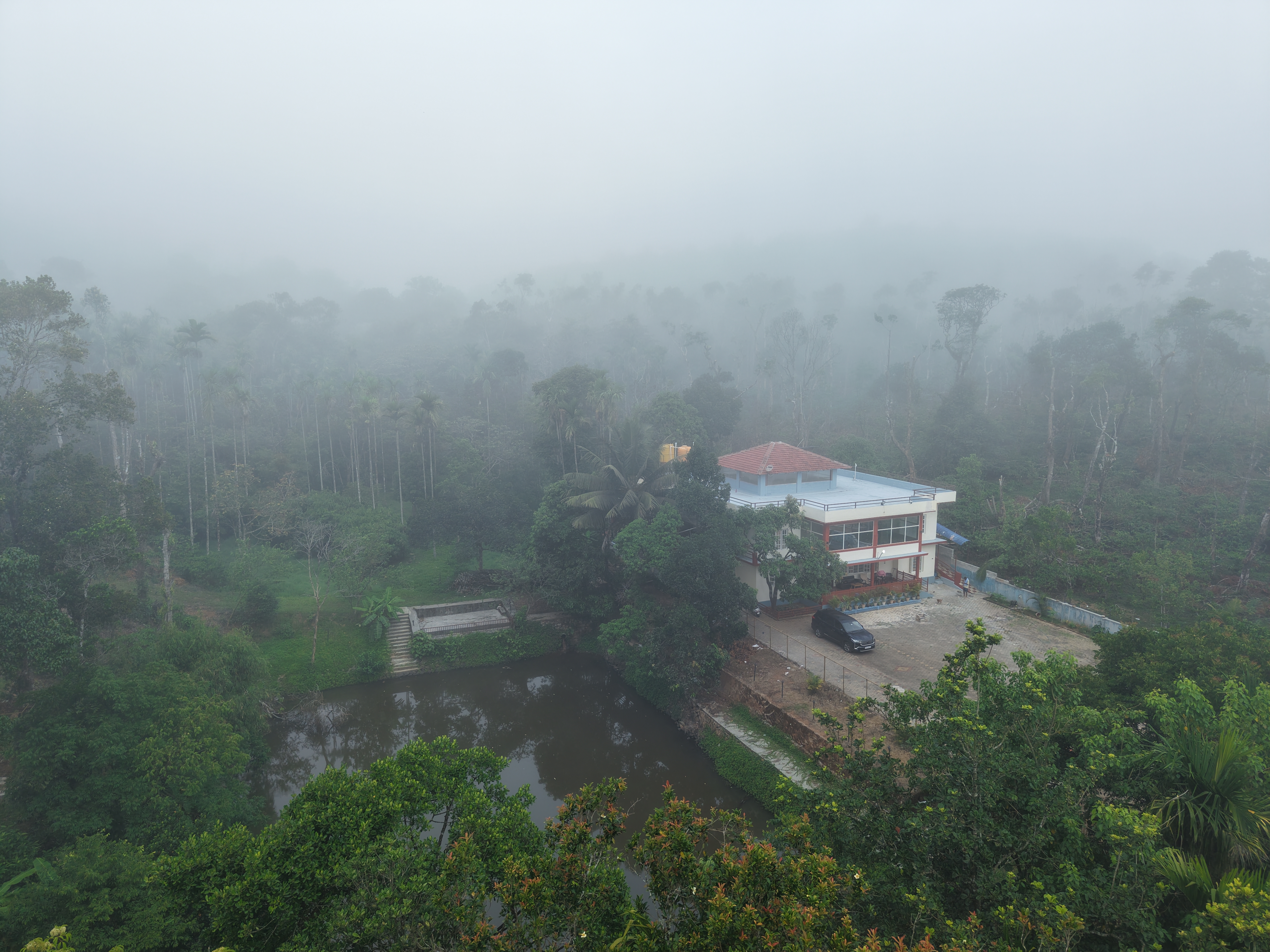 Aerial view of Sura Stays surrounded by forest